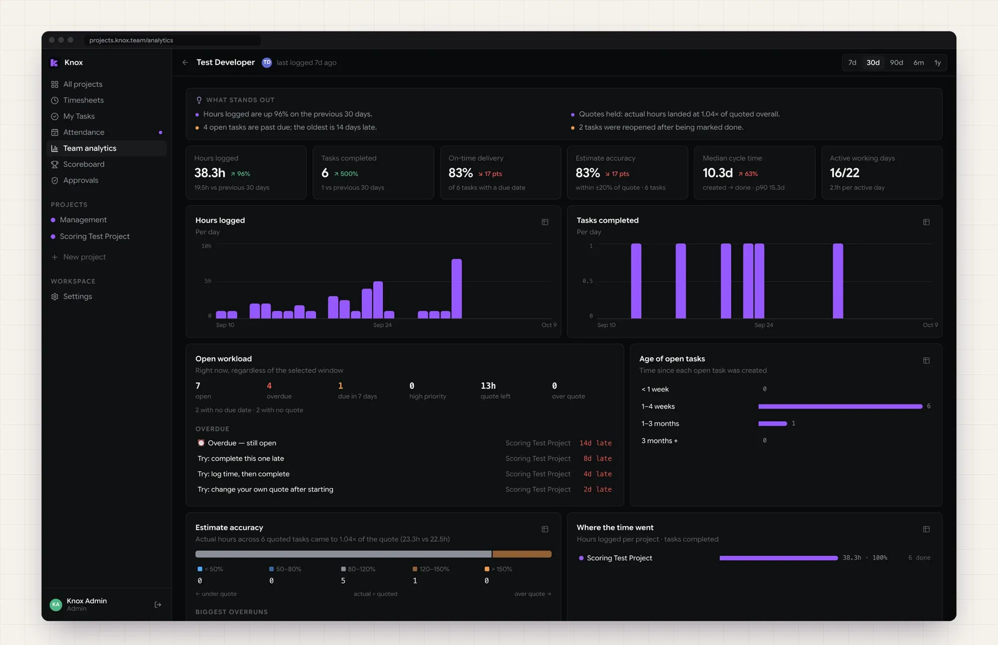 Analytics for one developer: hours logged, tasks completed, on-time rate, estimate accuracy and open workload